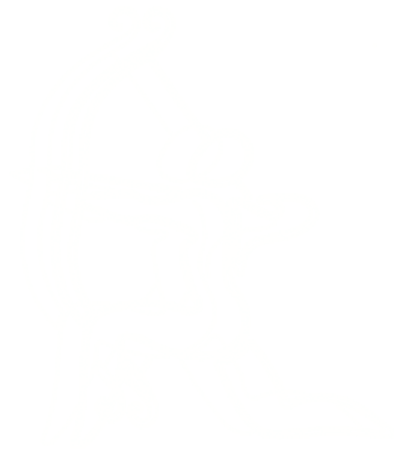 Leonid Pulniy logo
